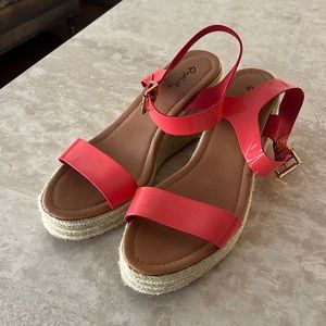Salmon color wedges